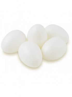Αυγό πλαστικό 60*45mm MEYCO hobby