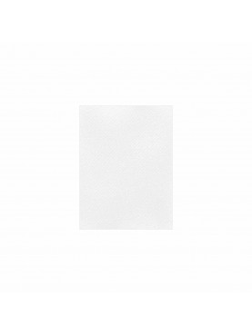 Χαρτόνια Canson 50x70 220gr Λευκό
