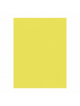 Χαρτόνια Canson 50x70 220gr Ανοιχτό Κίτρινο