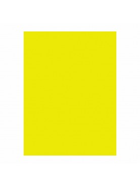 Χαρτόνια Canson 50x70 220gr Κίτρινο